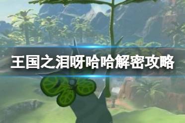 《塞尔达传说王国之泪》攻略——呀哈哈解密攻略