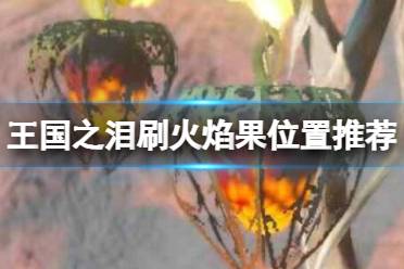 《塞尔达传说王国之泪》攻略——火焰果哪里比较多