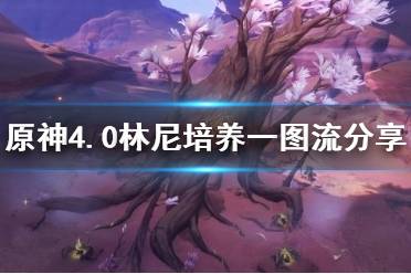 《原神》攻略——4.0林尼培养一图流