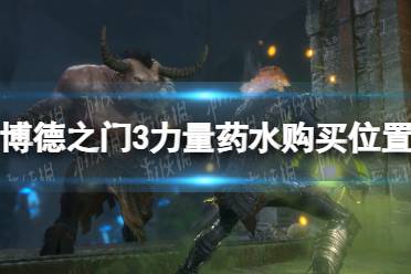 《博德之门3》攻略——力量药水在哪买