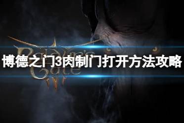 《博德之门3》攻略——肉制门怎么打开